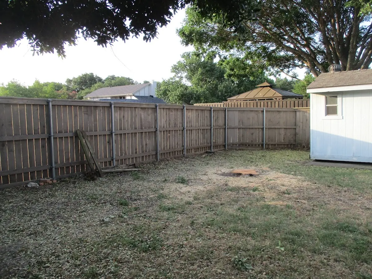 Cleared yard after professional tree removal in Northville